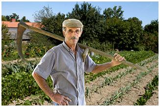 Pere Cheyne (vignette)